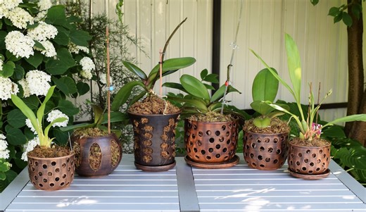 Rustic Brown Ceramic Orchid Planters – Small & Large Clay Pots With Drainage - Etsy