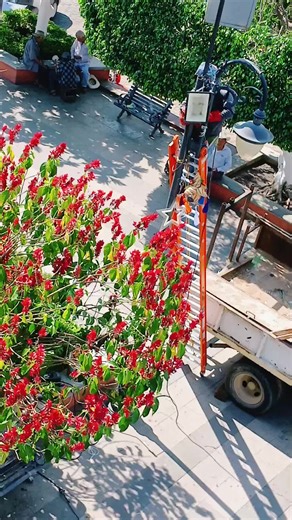 #feliz #inio de #mes y #de semana mi rraza