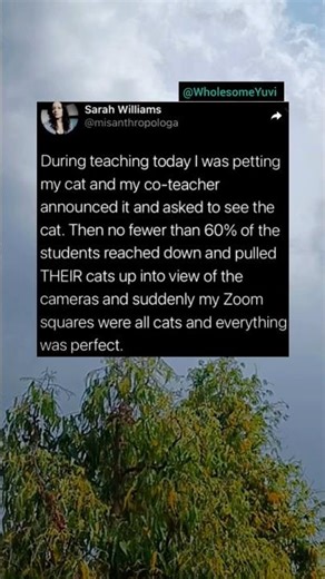 During teaching today I was petting my cat and my co-teacher announced it and asked to see the cat