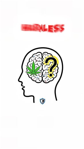 How Weed Rewires Your Brain