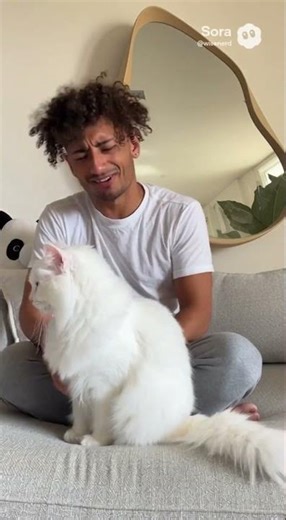 Why Cat Farts Are a Global Conspiracy