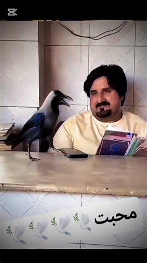 An Unlikely Bond: The Incredible Friendship Between a Shopkeeper and a Crow 🐦❤️