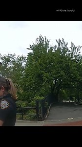 243K views · 1.9K reactions | A puppy named "Rocket" was rescued by police in New York City after it sustained "horrific injuries" at the hands of an abusive owner. | 48 Hours | Facebook