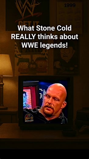 Stone Cold Steve Austin doesn’t hold back about WWE / WWF legends #attitudeera #wwe #90swrestling | WrestleGuy
