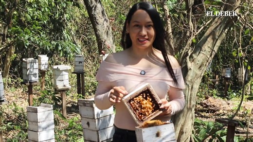 Su historia cuenta.. Convirtió su pasión por las abejas en proyectos con los que protege colmenas, produce miel y promueve la polinización, demostrando que con paciencia y compromiso es posible generar un impacto positivo en el medio ambiente y la economía. 🎥 Miguel Surubi #ElDeber #Suhistoriacuenta #emprendimiento | EL DEBER