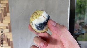 balut. Duck egg with embryo, traditional Asian food in the Philippines. balut egg without shell