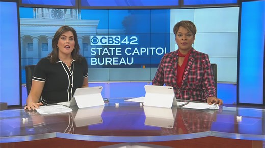 Library Board Considers Rule on Gender Ideology in Children's Sections