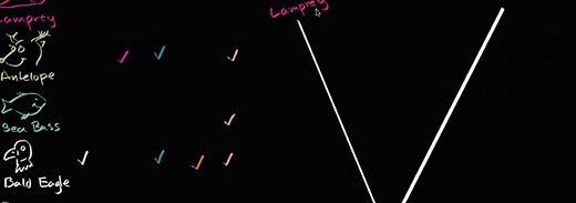 Deer Goat Hybrid - How Deer And Goats Are Related To Each Other (2024)