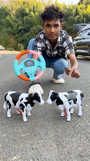 Rc Remote Controller 2 Ta Cow Dekho 🥹