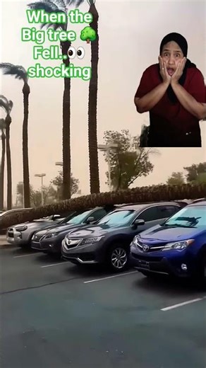 #reaction IS IT THE ANGER OF A BIG TREE 🌳 ?#nature #tree #strange #sad #viral