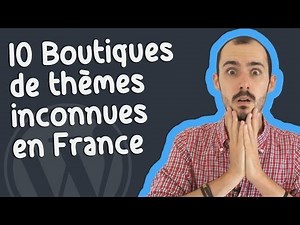 Édito n°8 - Connaissez-vous ces 10 boutiques de thèmes WordPress ?