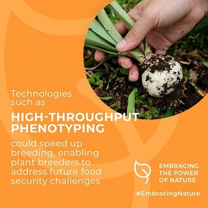 Over the past 100 years, #plantbreeding has delivered high-yielding crops that have sustained human population growth. The current pace of yield increase is insufficient to meet future #fooddemand.  樂How can we breed better varieties fast enough?✍️ https://go.nature.com/2D1QvKG | Euroseeds | Facebook