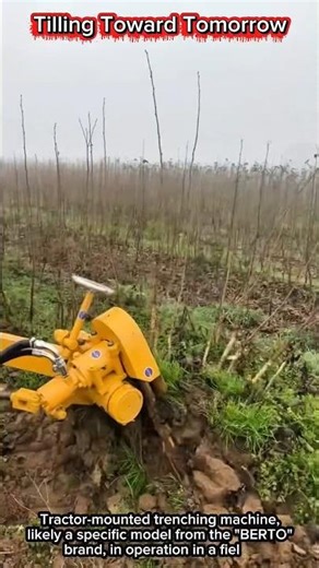 Tilling Toward Tomorrow