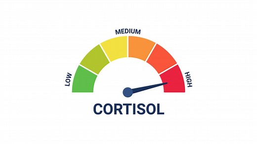 Cortisol Level / Cortisol Spike | Know Your Meme