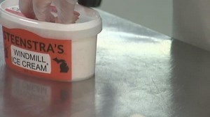 Made in Michigan: Steenstra Windmill Cookies ice cream