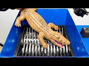 Industrial Shredder vs Crocodile Toy