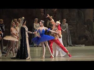 Maria Ilyushkina (Mariinsky Ballet) Raymonda Act 2