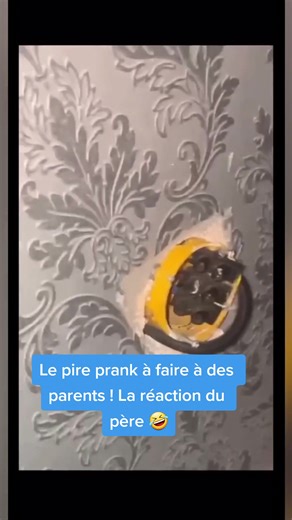 Vidéos de TPMP Officiel (@tpmp) avec son original - TPMP Officiel