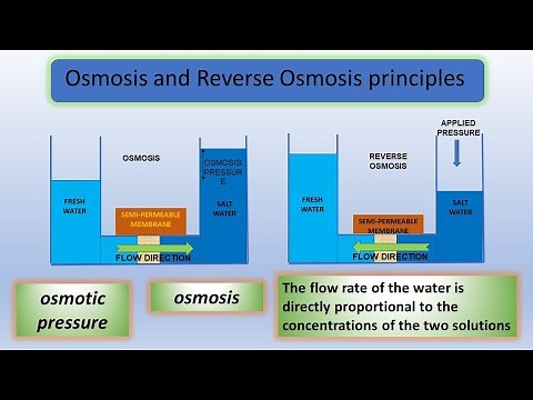 Osmotic Pressure | Osmosis | Reverse Osmosis principles | RO Plant | Membrane-based Desalination