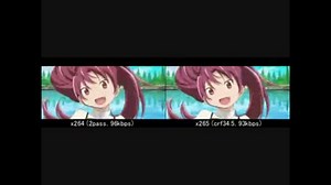 [比較] フロッピーに入る x264 と x265 動画を比較