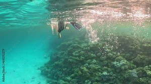 snorkeling beautiful brunette woman underwater, coral reef in the sea