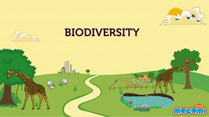 What is Biodiversity?