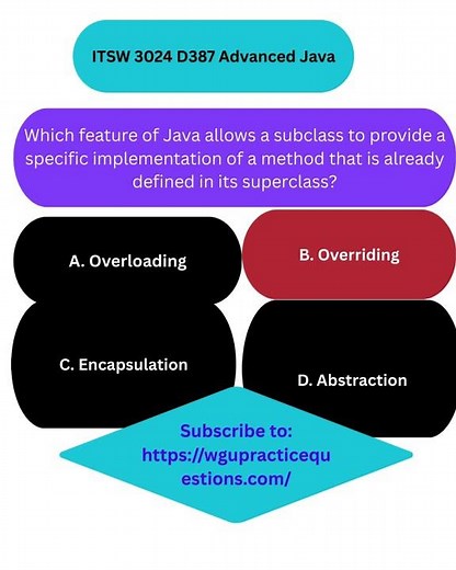 ITSW 3024 D387 Advanced Java