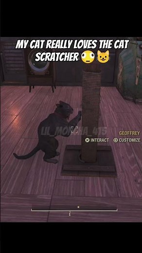 Fallout 76 cat scratcher 🥰 #fallout #fallout76 #game