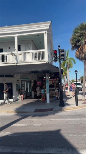 Duval Street Day vs. Night: Which Key West Vibe Do You Prefer?