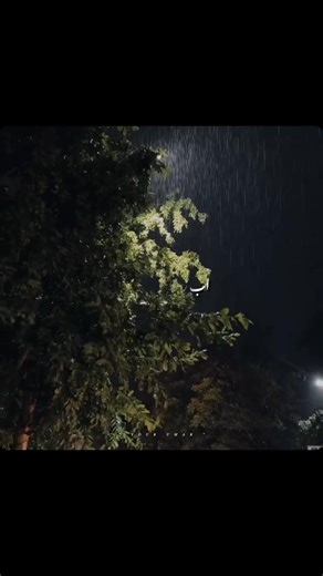 Pyar Kiya To Nibhana: Old Gold Songs Collection