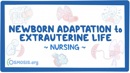 Physiologic and Behavioral Adaptations of the Newborn: Video, Causes, & Meaning | Osmosis