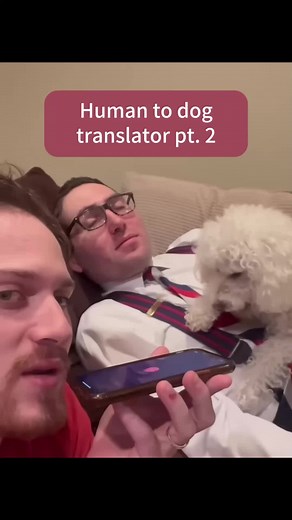 Train your dog with voice commands in their own language
