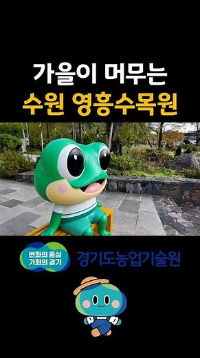 “가을이 머무는 수원 영흥수목원｜힐링 산책 스케치 영상"