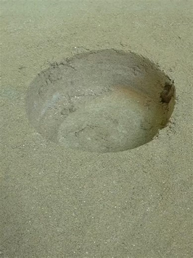 Exploring Mini Tractors at the Farm and Zoo
