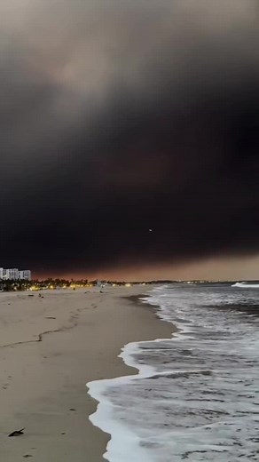 Os vídeos de Priscila Fátima (@priscilafatima599) com som original - Musile Records