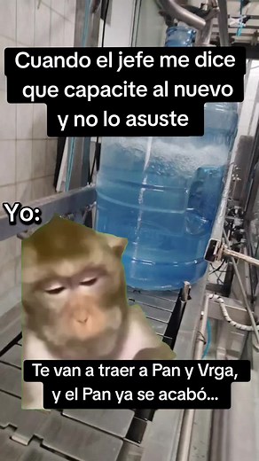 Humor de Ingeniero: Capacitación del Nuevo