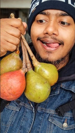 কাঠবাদাম (Almond) খাওয়ার উপকারিতা | Amazing Health Benefits #shortsfeed