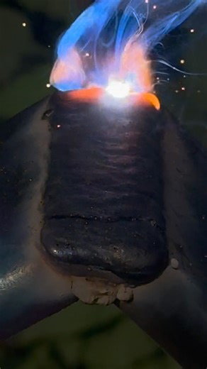 Beginners Think This Welding Is Easy—Here’s Where They Go Wrong #welding #stickwelding