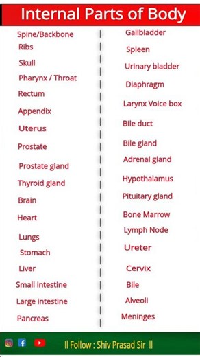 Internal Parts of Body Names | Human Anatomy for Students
