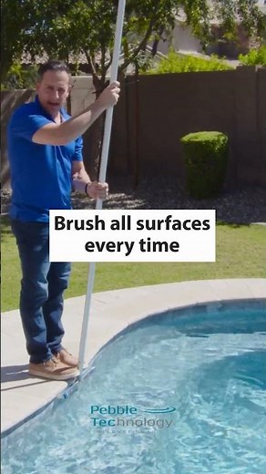 A Step-by-Step Guide to Brushing Your Swimming Pool