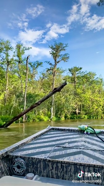 #fridaysDitch #shesAboatSinker #honeyIsland #swamp #westMiddle #westPearl