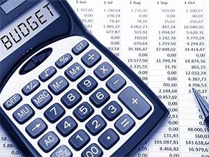 Planning ministry publishes details of 2016 budget on website