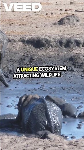 Sidoarjo Mud Volcano (2006-Present, Indonesia) #fypviral #disaster #facts