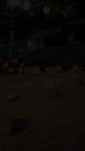 18K views · 35 reactions | Turn your evening into a timeless memory...