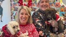 Senior dogs deck the halls with ugly sweaters at Muttville in San Francisco