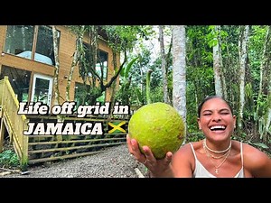 Life off grid in Portland Jamaica 🇯🇲