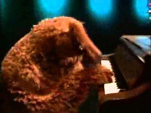 Muppets - Ralph plays Beethoven.wmv