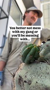The Cactus gang has gotta stick together 😤 | Cactus Culture