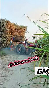 Massey Ferguson 385#brand #viralvideo ماشااللہ