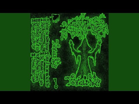 Where the swamp begins